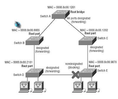 Spanning Tree Protocol (STP) | ctnguyenvn